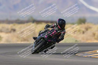 media/Nov-11-2023-SoCal Trackdays (Sat) [[efd63766ff]]/Turn 16 (11am)/